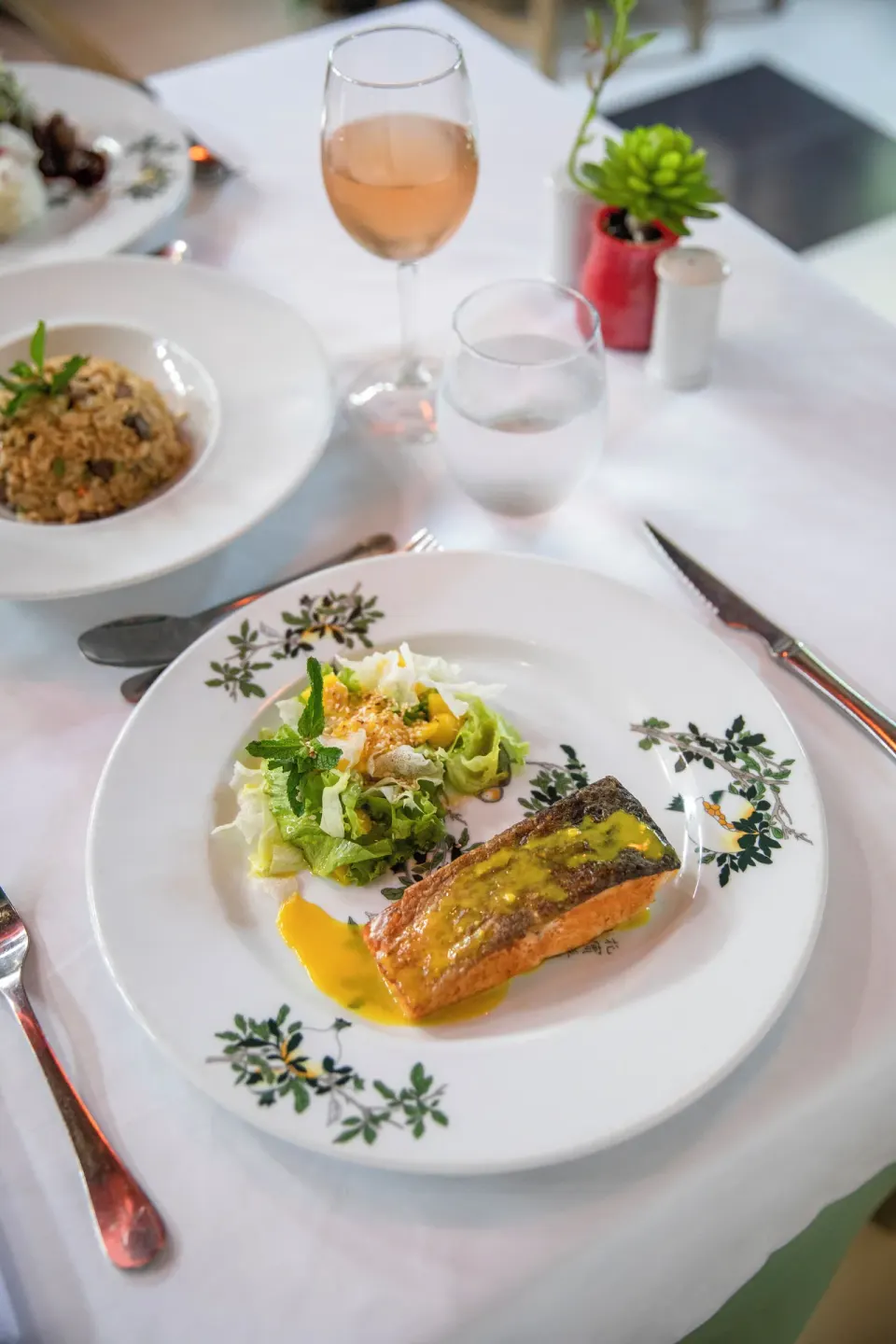 Plated salmon with salad, rice and rosé at Iberostar Waves Dominicana.