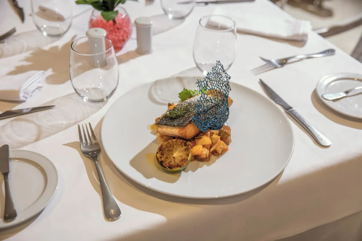 Plated fish entrée with vegetables at Iberostar Waves Punta Cana.