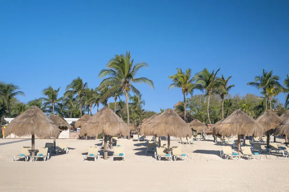 Rows of thatched palapas and lounge chairs on the beach at Iberostar Waves Tucán.
