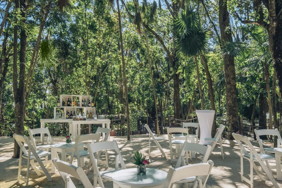 Outdoor reception area with white chairs and a bar in a forest setting at Iberostar Waves Tucán.