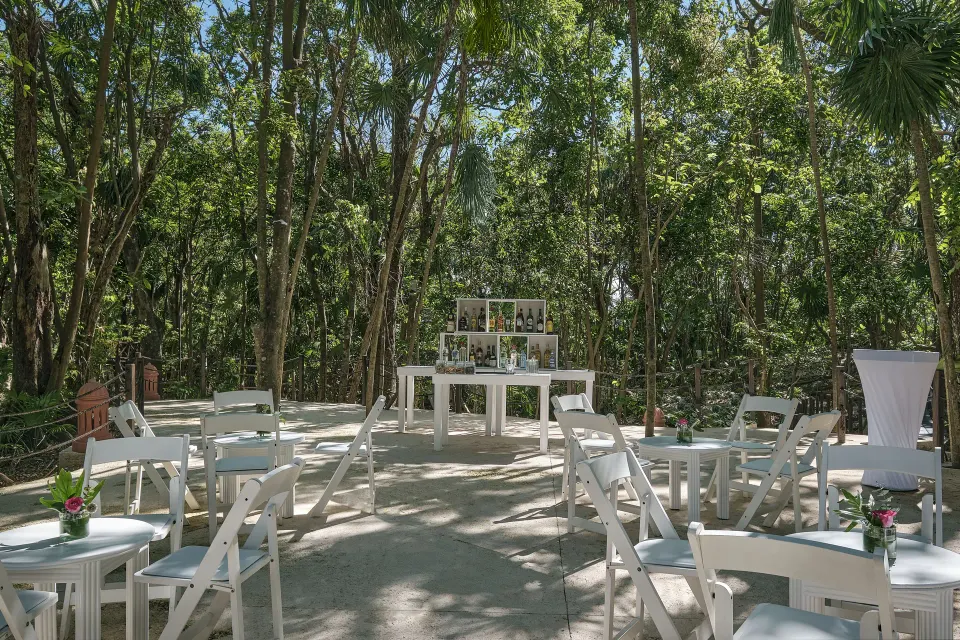 Event seating and bar under forest canopy at Iberostar Waves Tucán.