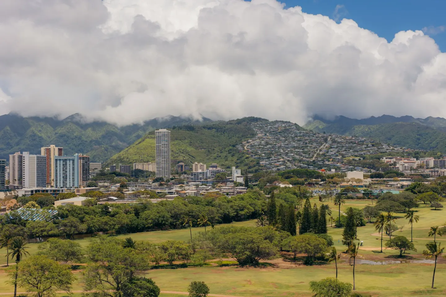 Mountain and city skyline view beyond palm trees near Ilima Hotel.