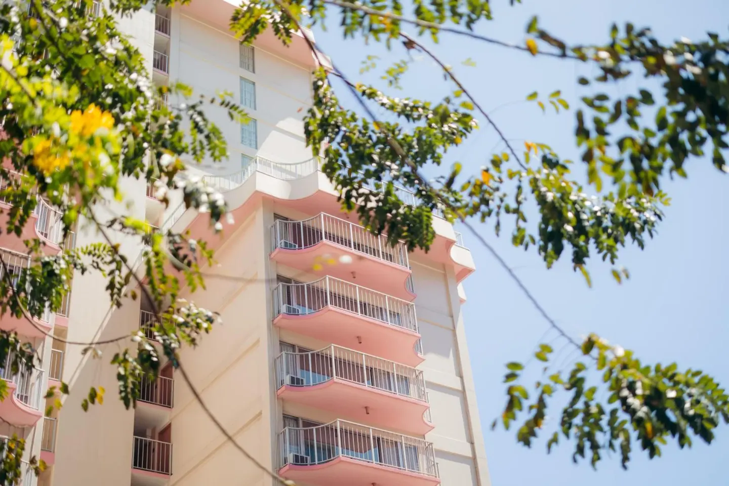 Pink balcony facade of Ilima Hotel framed by leafy branches in daylight.