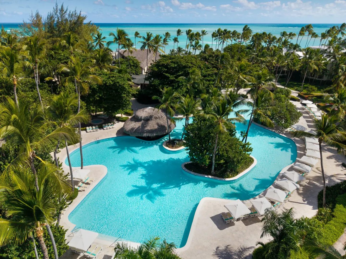 Aerial view of lagoon-style pool, palms, and ocean at Impressive Premium Punta Cana.