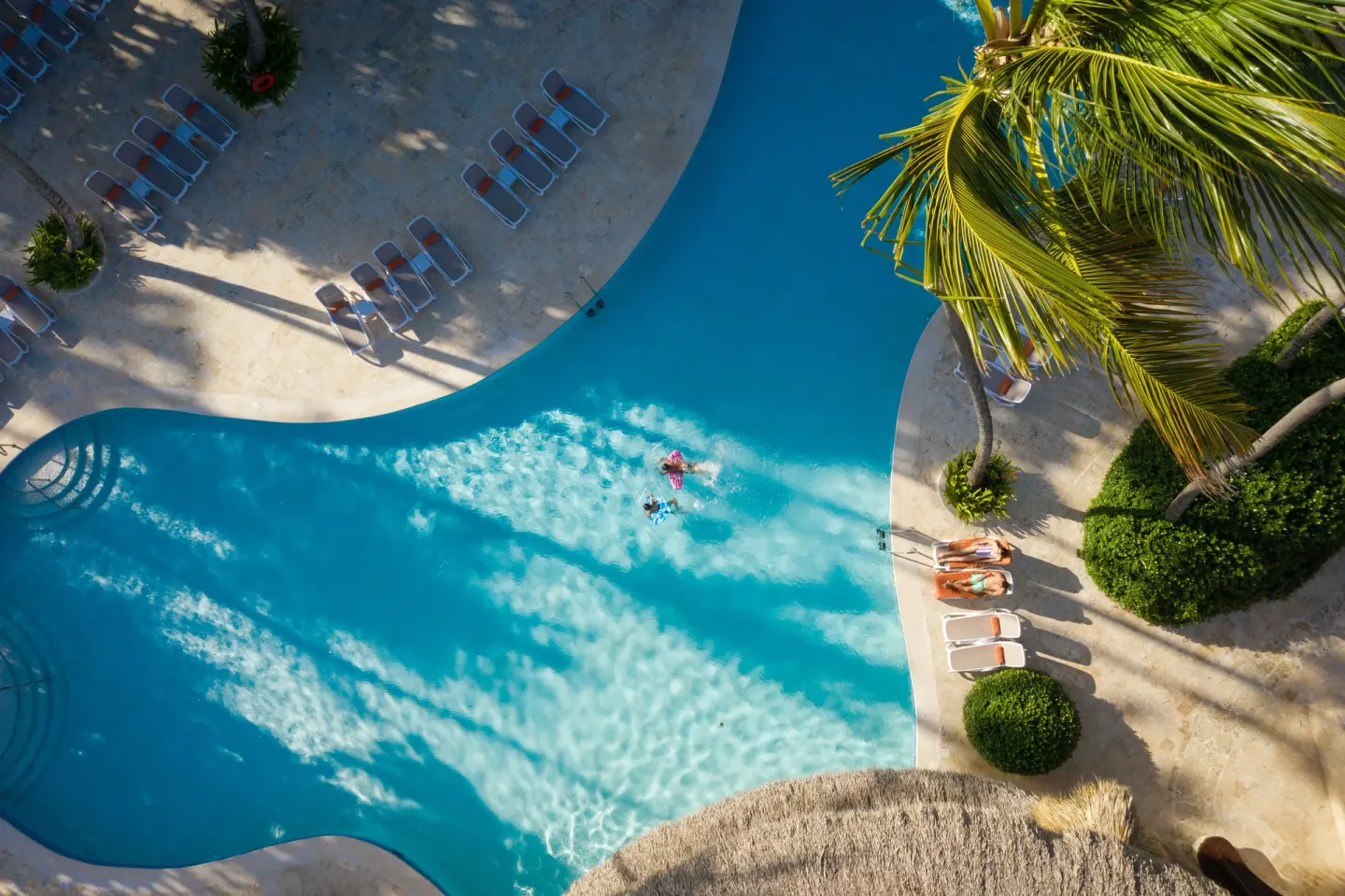Aerial view of the curved pool and loungers at Impressive Premium Punta Cana.