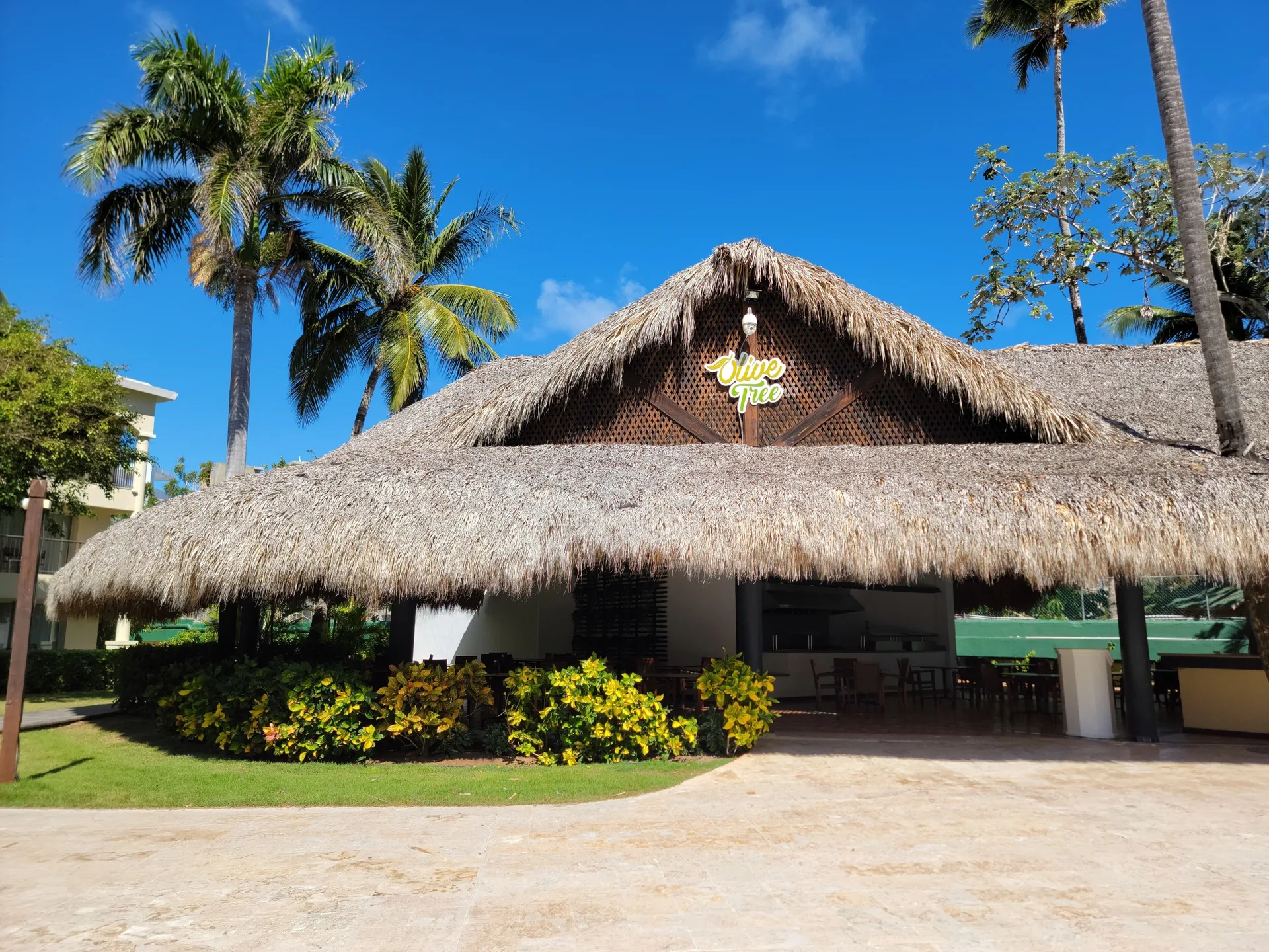 Thatched-roof Olive Tree restaurant exterior at Impressive Premium Punta Cana.