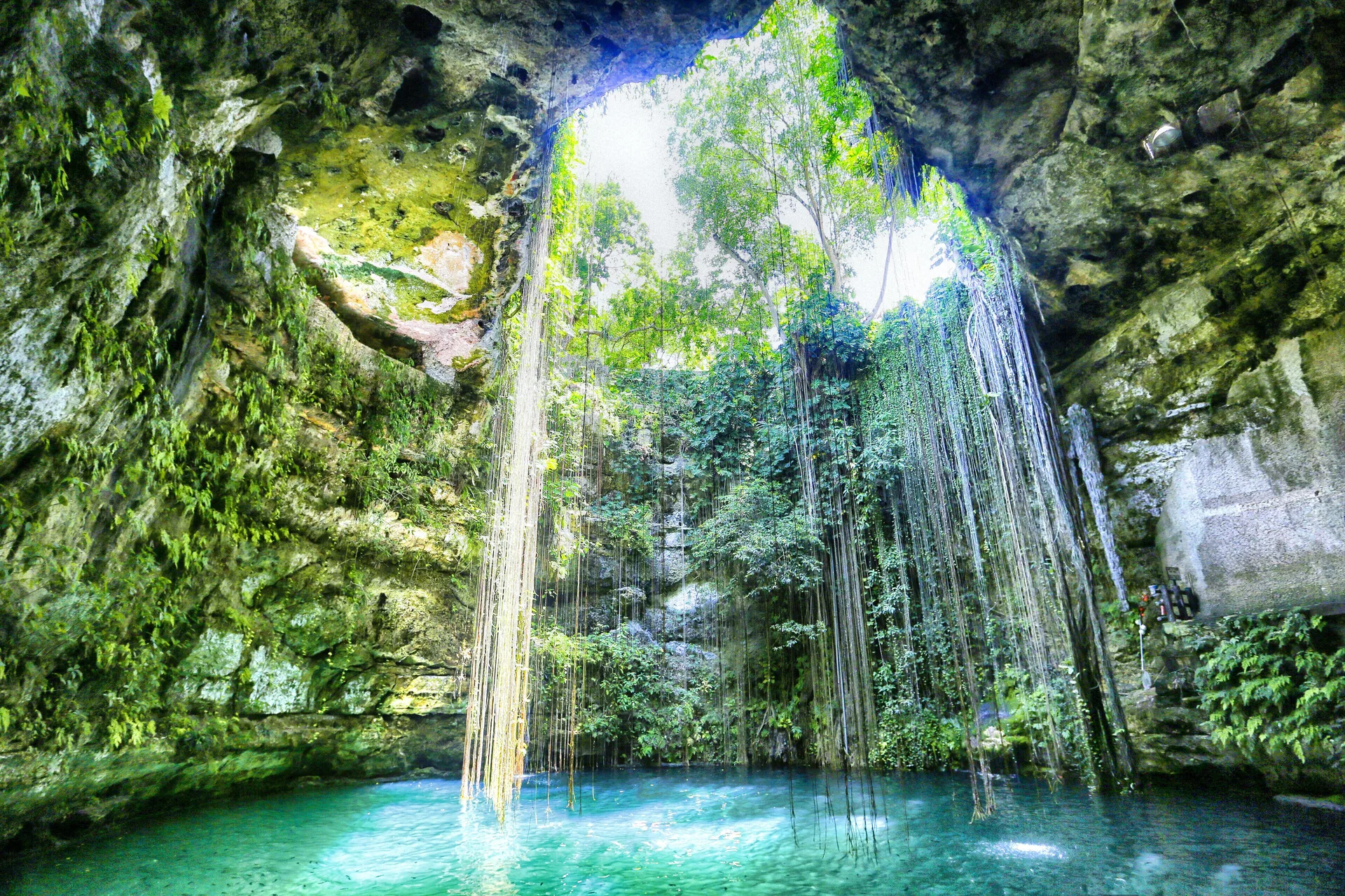 Cenote with hanging vines near InterContinental Presidente Cancun Resort.