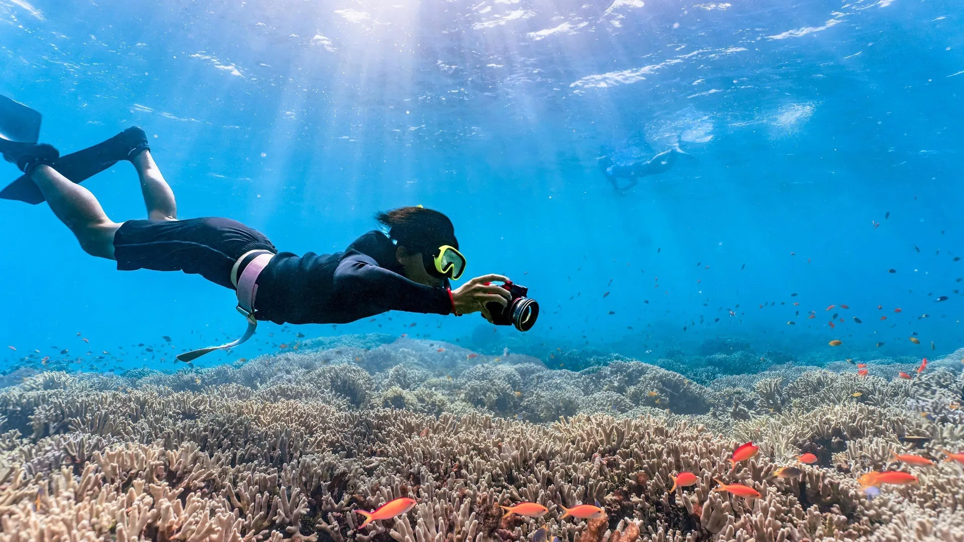Snorkeler photographing coral and fish near InterContinental Presidente Cancun Resort.