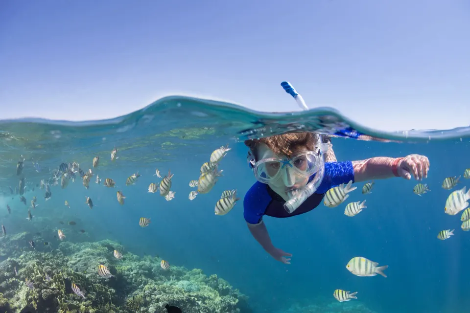 Snorkeler among tropical fish in clear water at InterContinental Presidente Cozumel Resort Spa