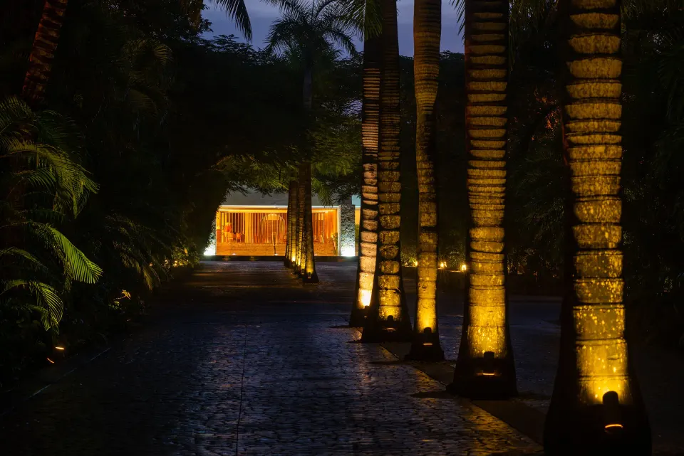 Illuminated palm-lined path through resort grounds at night at InterContinental Presidente Cozumel Resort Spa