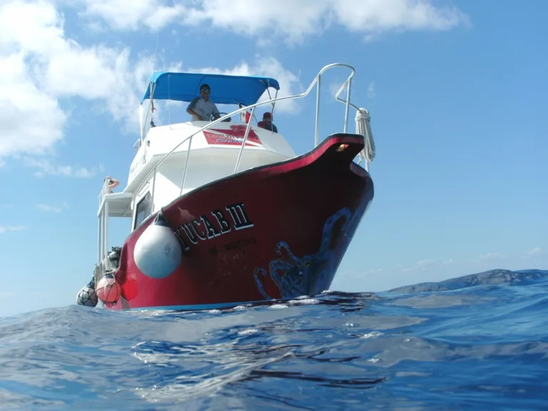 We B Divin' Cozumel