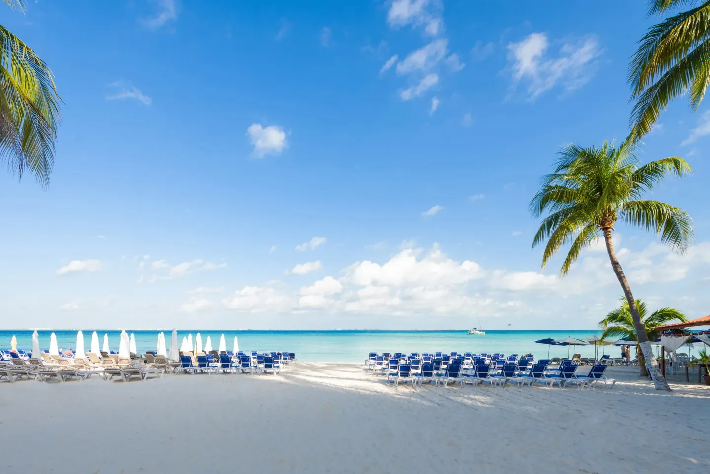 Beach loungers, umbrellas, palms, and blue water at Ixchel Beach Hotel.