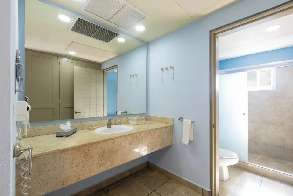 Standard Room bathroom vanity with large mirror and shower area at Ixchel Beach Hotel.