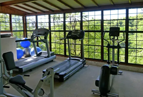 Gym with treadmills, elliptical equipment, and forest views at Jade Mountain Resort.