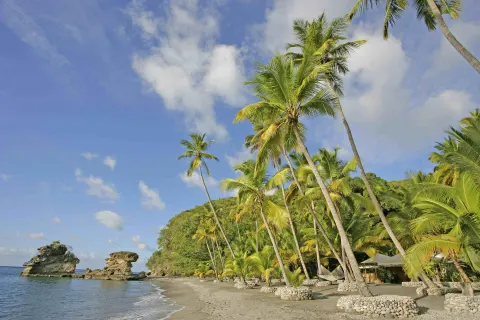 Palm-lined beach with rock formations and calm water at Jade Mountain Resort.