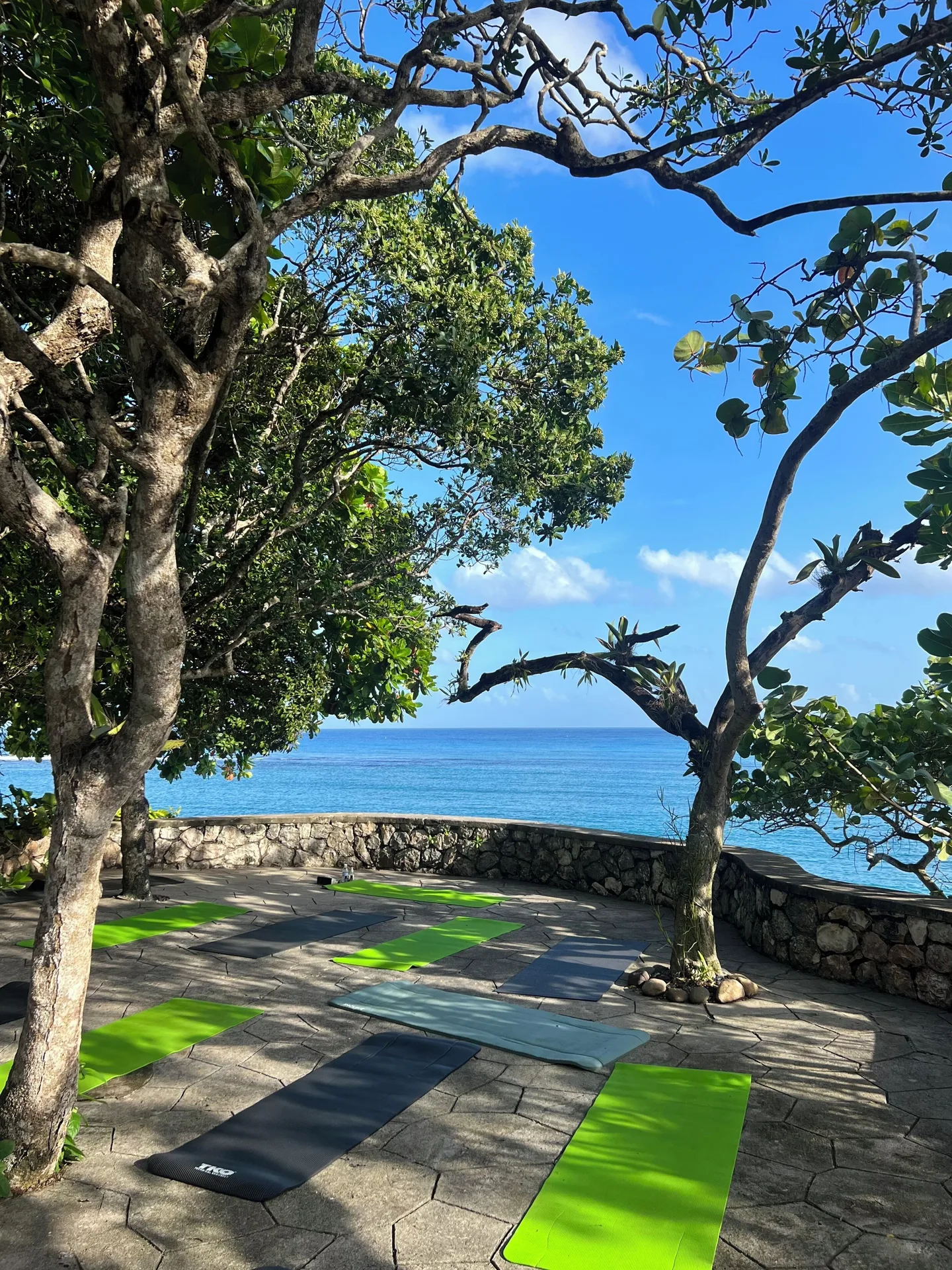Oceanfront yoga mats beneath trees at Jamaica Inn.