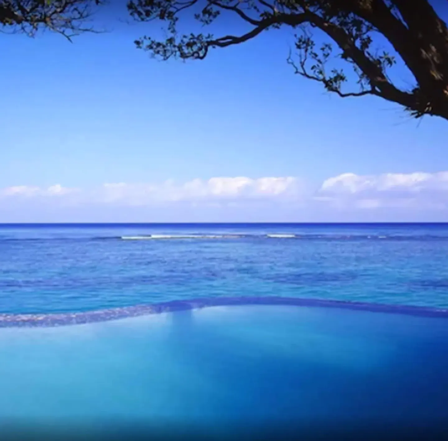 Blue pool edge and calm ocean horizon framed by a tree branch at Jamaica Inn.