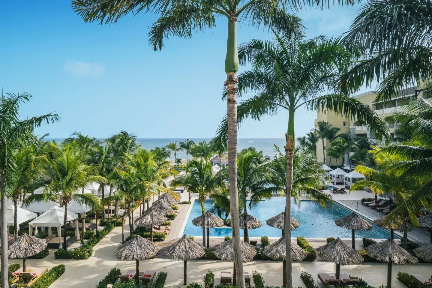 Elevated view of pool, palms, and ocean at JOIA Rose Hall by Iberostar.
