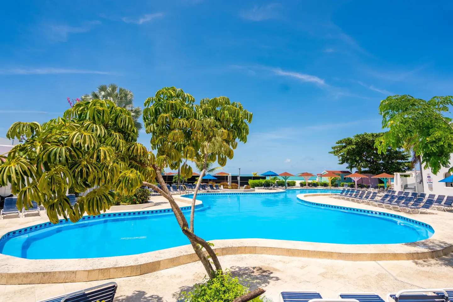 Curved resort pool framed by trees and blue loungers at Jolly Beach Antigua.