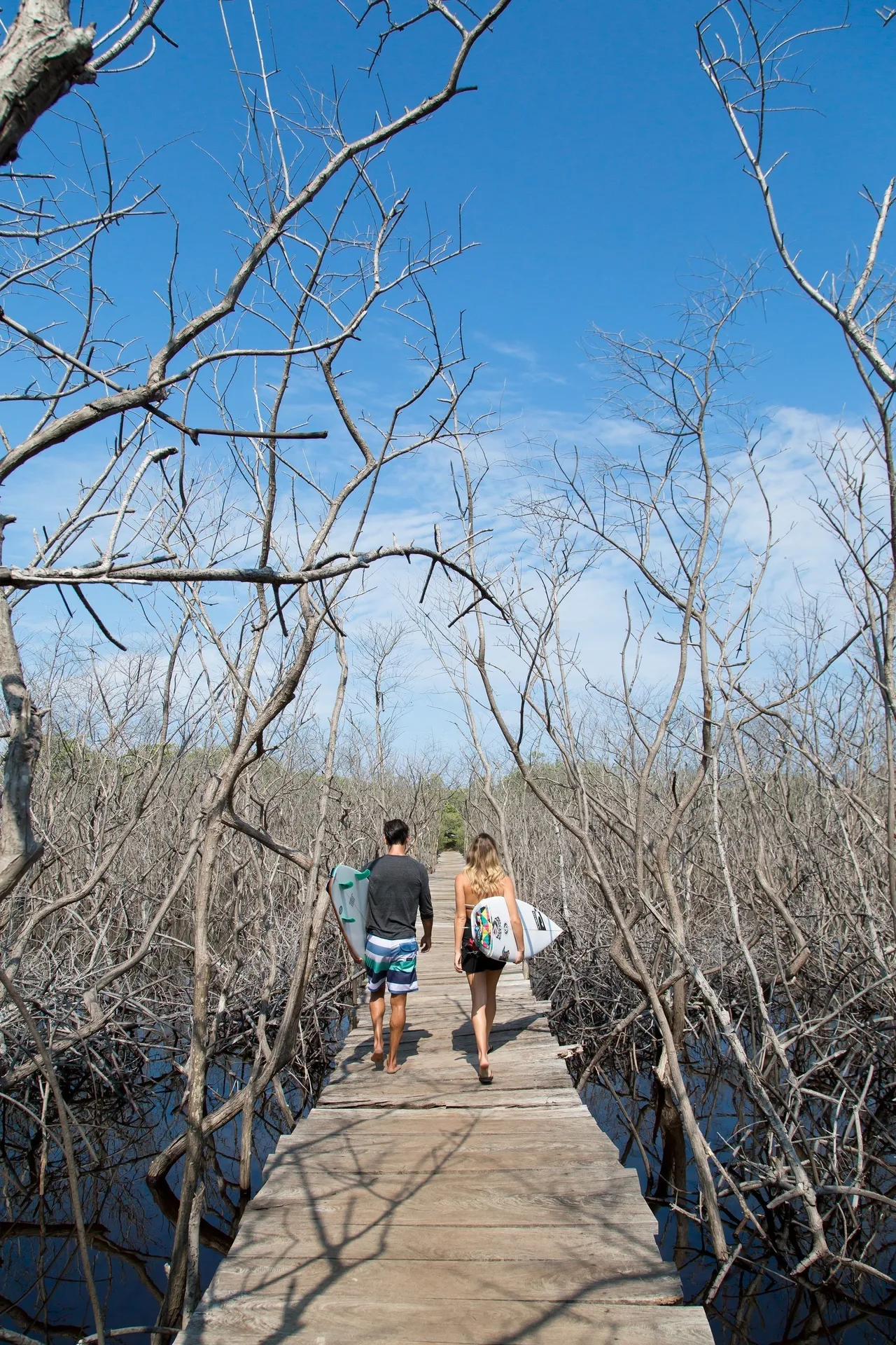 Surfers walking a wooden mangrove path at JW Marriott Guanacaste Resort and Spa.