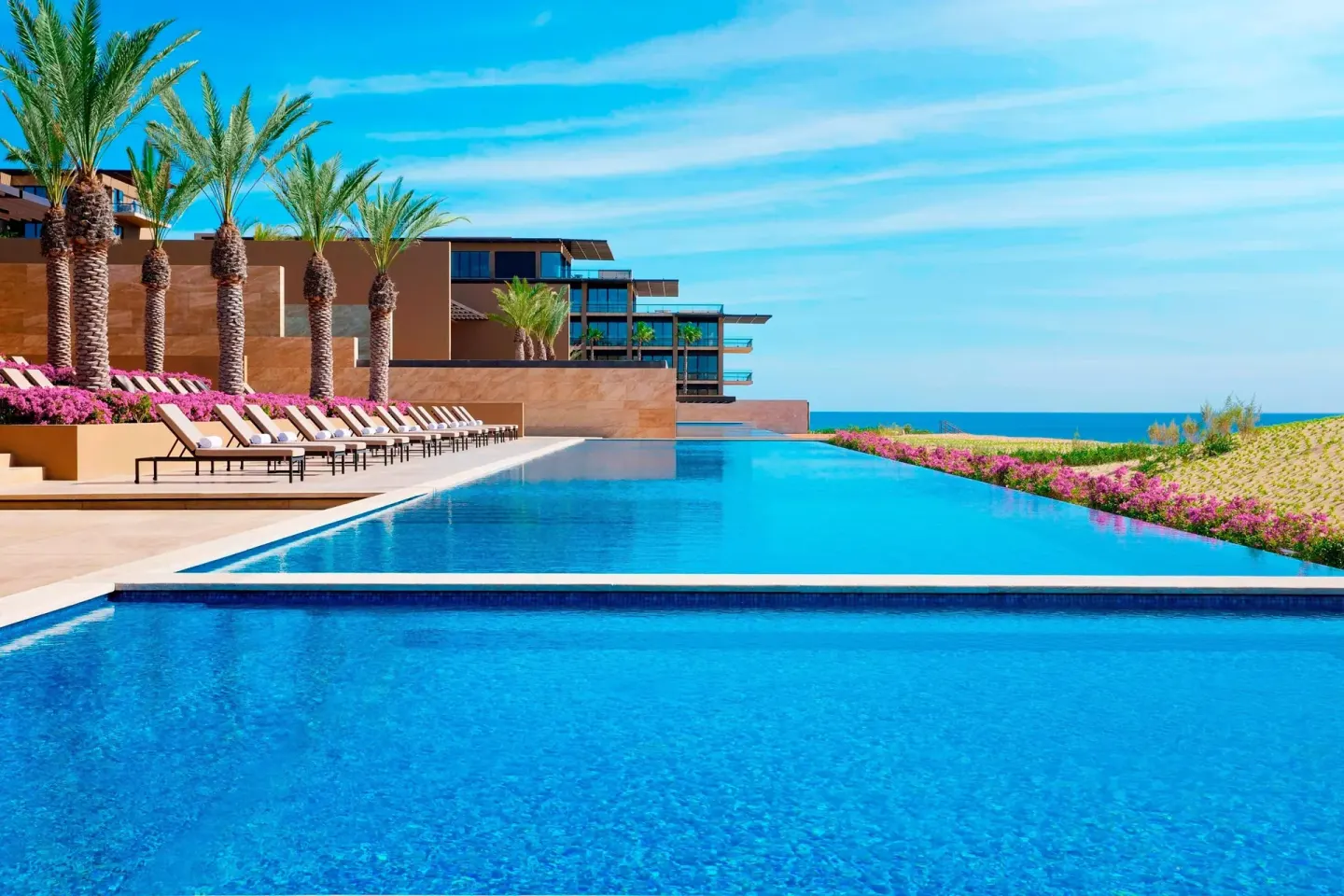Palm-lined infinity pool facing the ocean at JW Marriott Los Cabos Beach Resort & Spa.