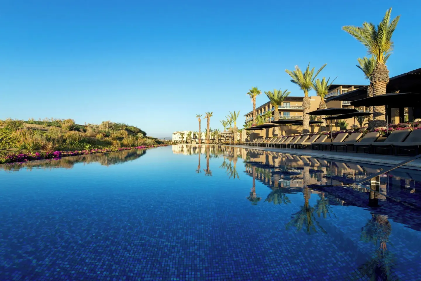 Long pool with palm reflections and loungers at JW Marriott Los Cabos Beach Resort & Spa.