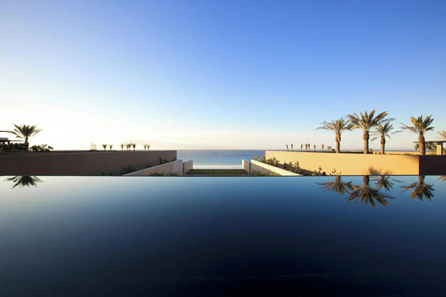 Reflecting pool with palms and ocean horizon at JW Marriott Los Cabos Beach Resort & Spa.