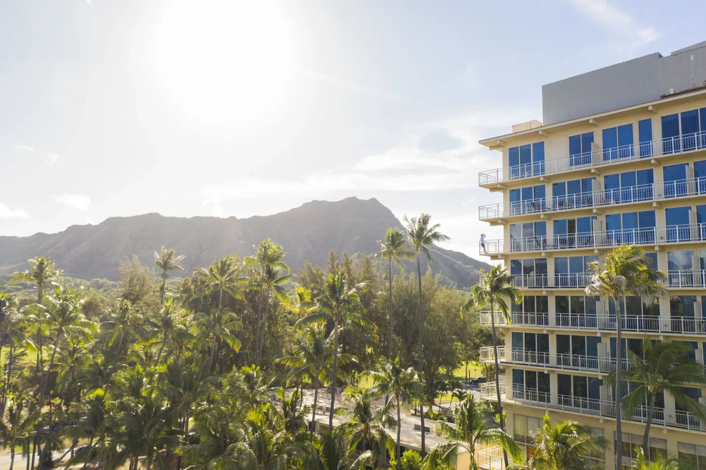 Hotel exterior, palm trees, and Diamond Head view at Kaimana Beach Hotel.