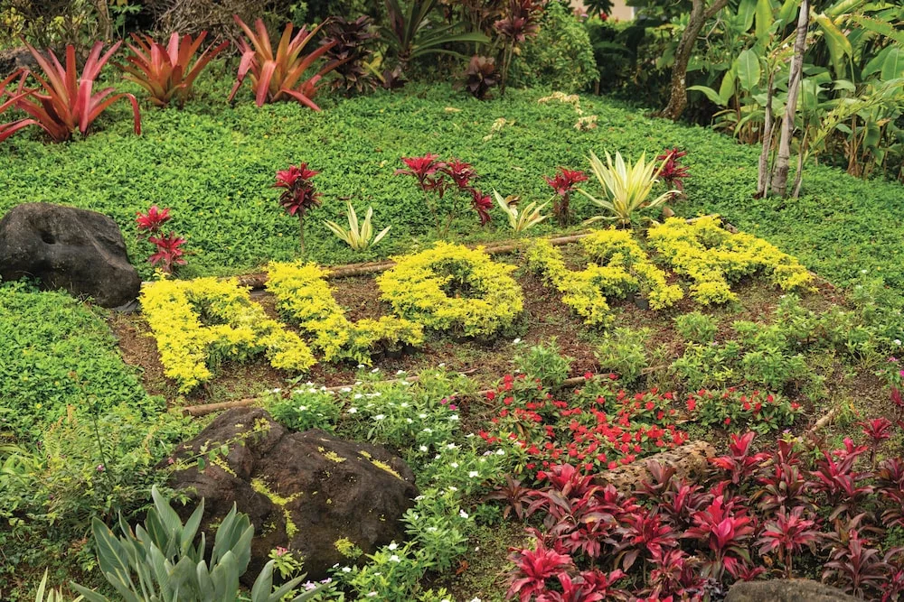Aloha planted in yellow foliage at Kauai Coast at the Beachboy.