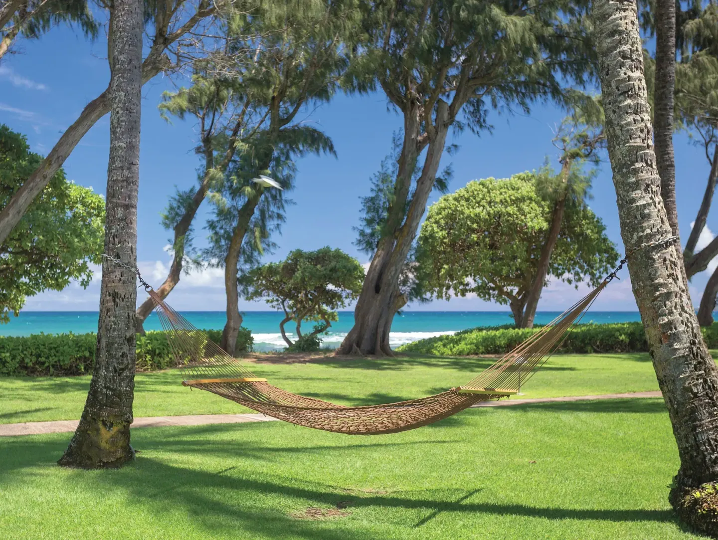 Hammock between palm trees facing the ocean at Kauai Coast at the Beachboy.