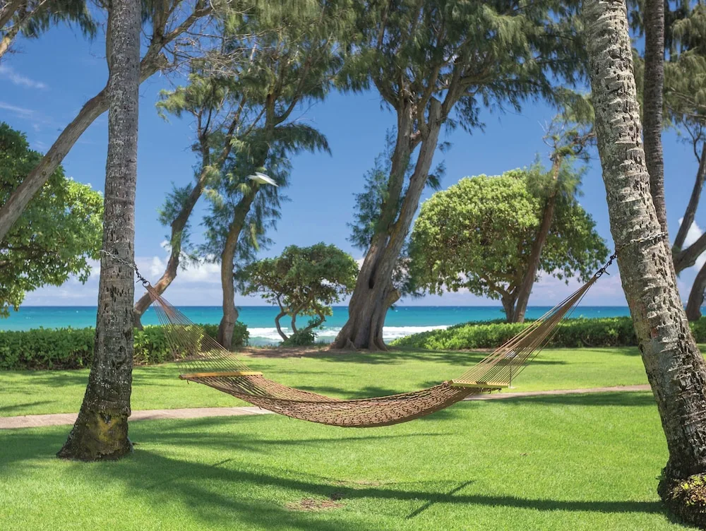 Hammock between palm trees by the ocean at Kauai Coast at the Beachboy.