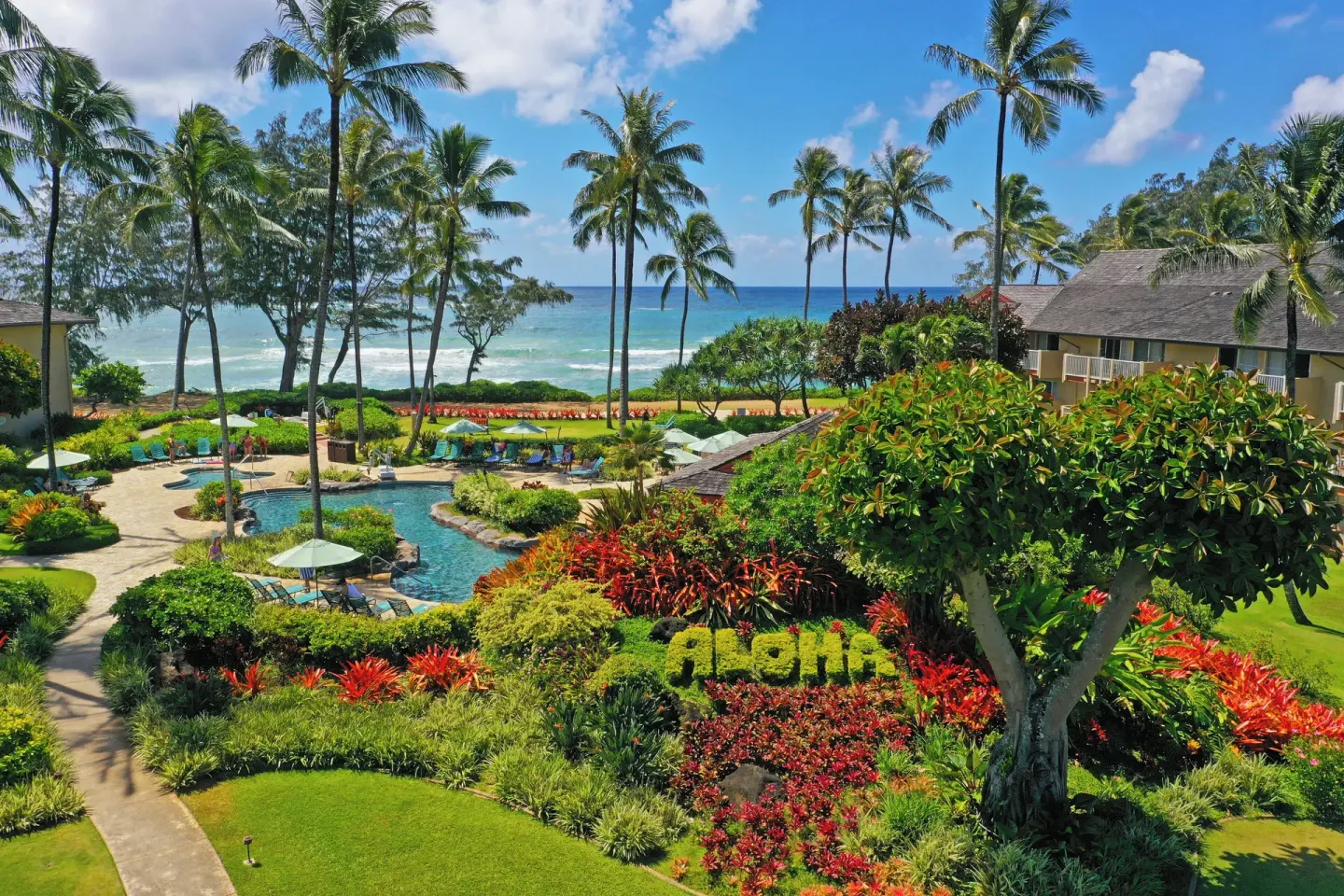 Pool, tropical gardens, palms, and ocean at Kauai Coast at the Beachboy.