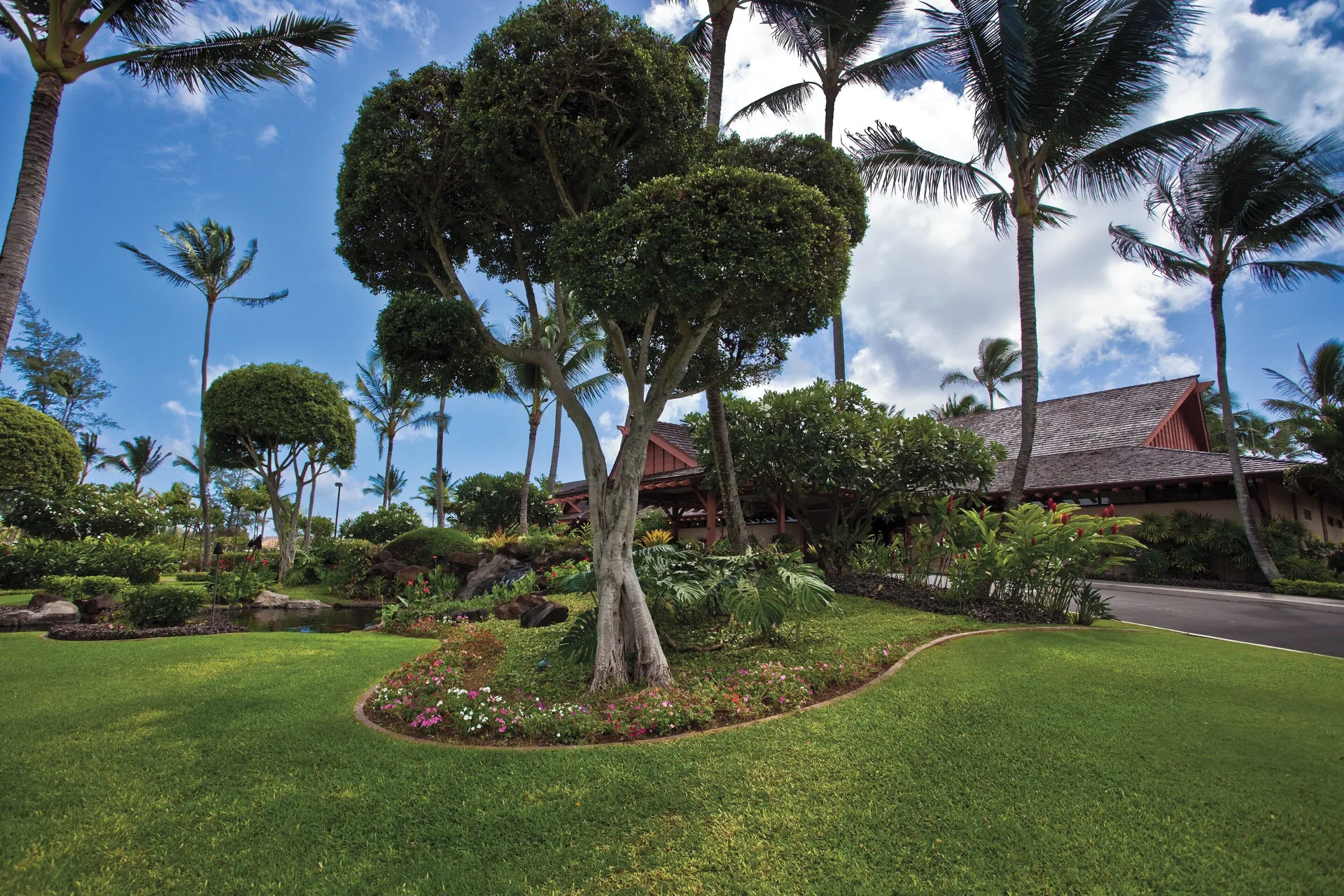 Tropical lawns, palms, and resort buildings at Kauai Coast at the Beachboy.