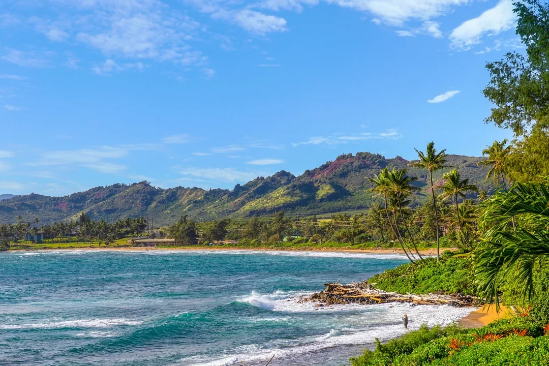Wailua Beach 10 Min Walk