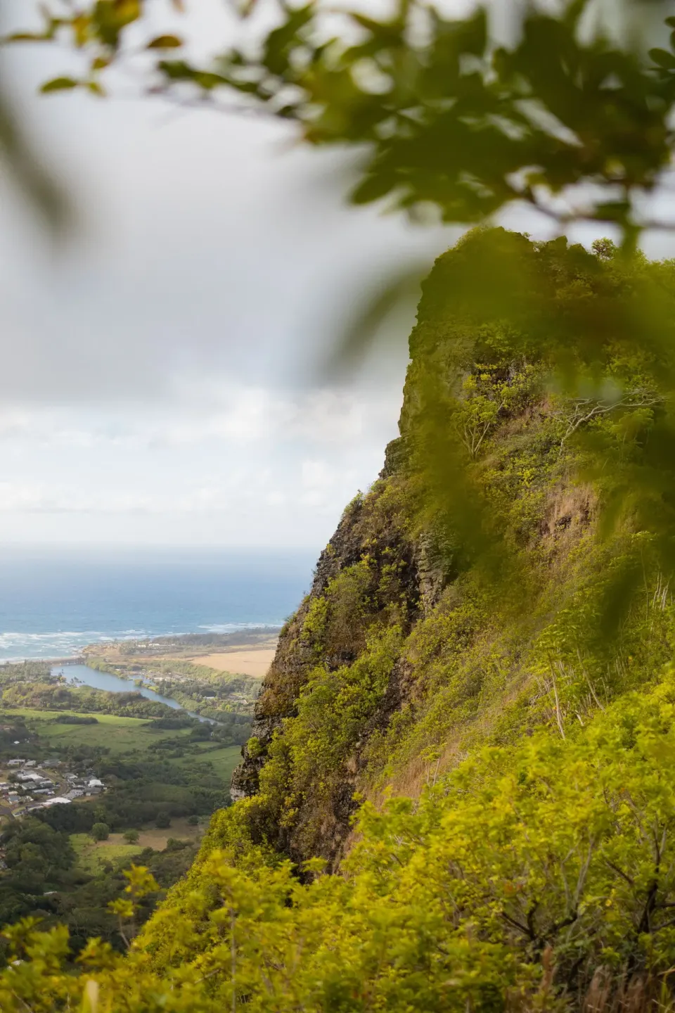A steep green coastal cliff and distant shoreline near Kauai Shores Hotel.