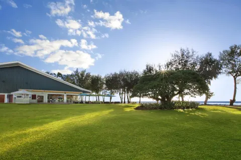 Wide green lawn and oceanfront trees beside the restaurant at Kauai Shores Hotel.