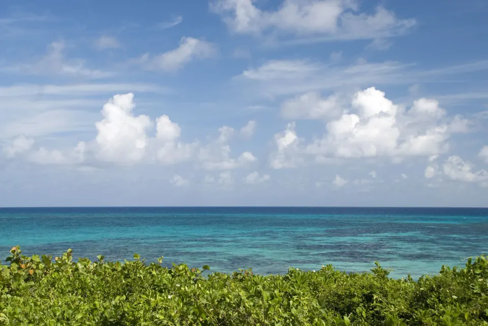 Turquoise ocean and low coastal foliage under a partly cloudy sky at Kimpton Seafire Resort + Spa