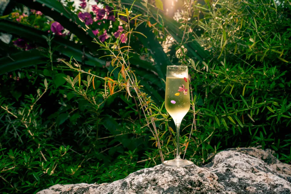 Champagne flute with floral garnish set on rock in garden at Kimpton Seafire Resort + Spa