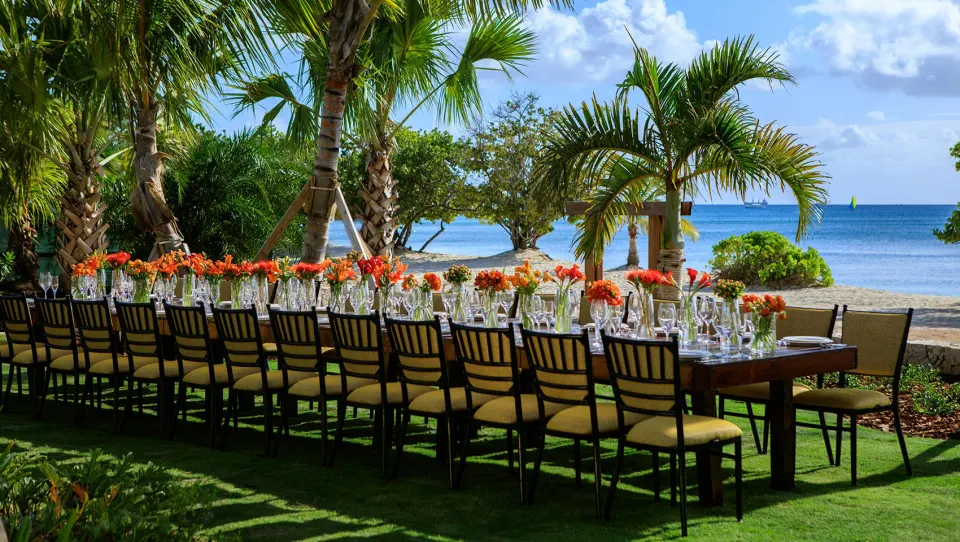 Aurea Lawn (Aurea Green) Venue