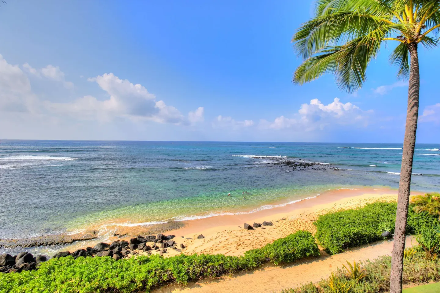 Po'ipu Beach shoreline with palm and turquoise water at Ko'a Kea Resort on Po'ipu Beach.