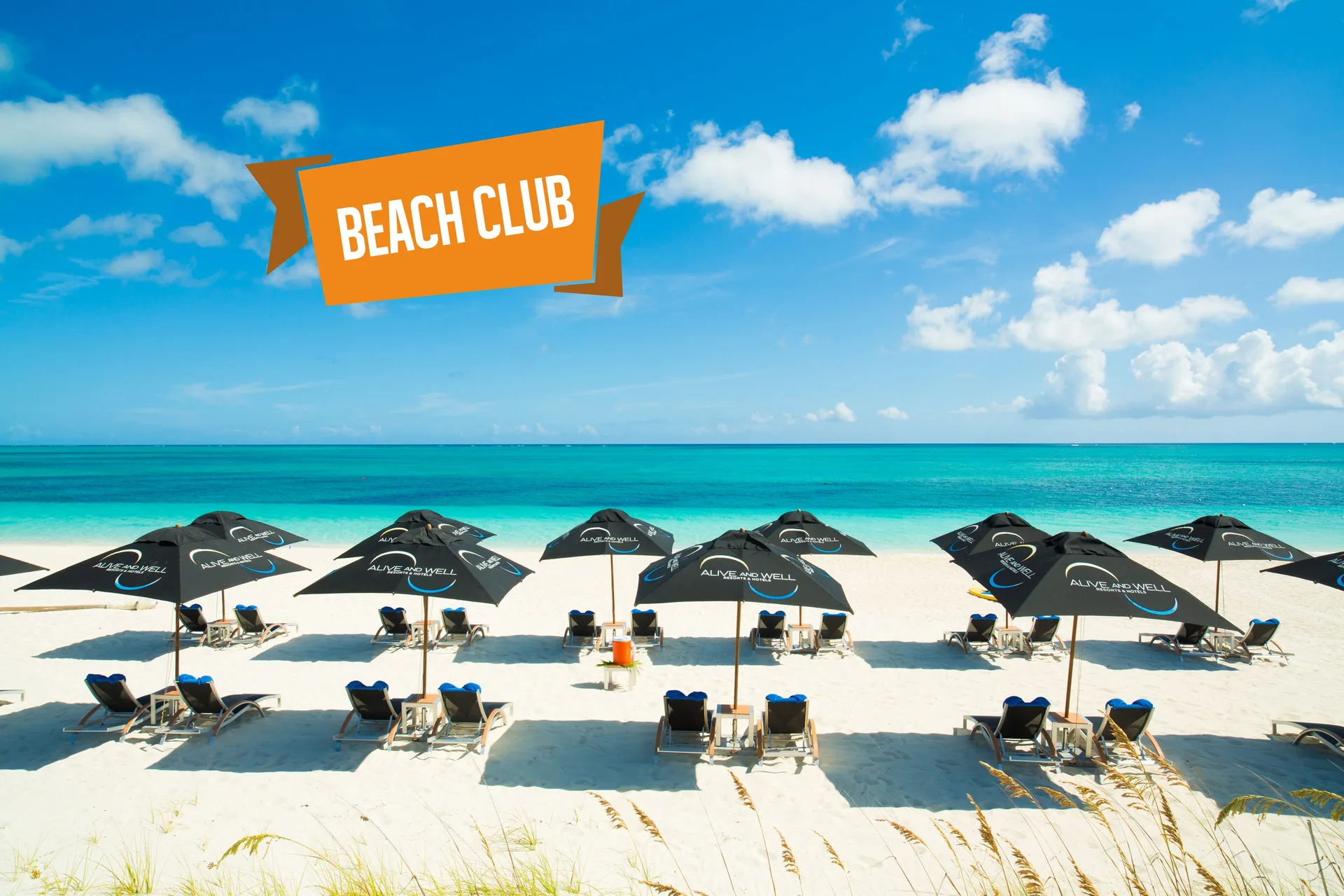 Beach chairs and umbrellas on white sand near turquoise water at Kokomo Botanical Resort.