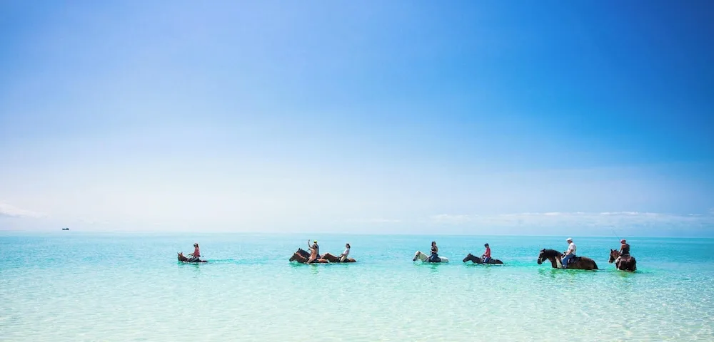 Horseback riders cross shallow turquoise water near Kokomo Botanical Resort.