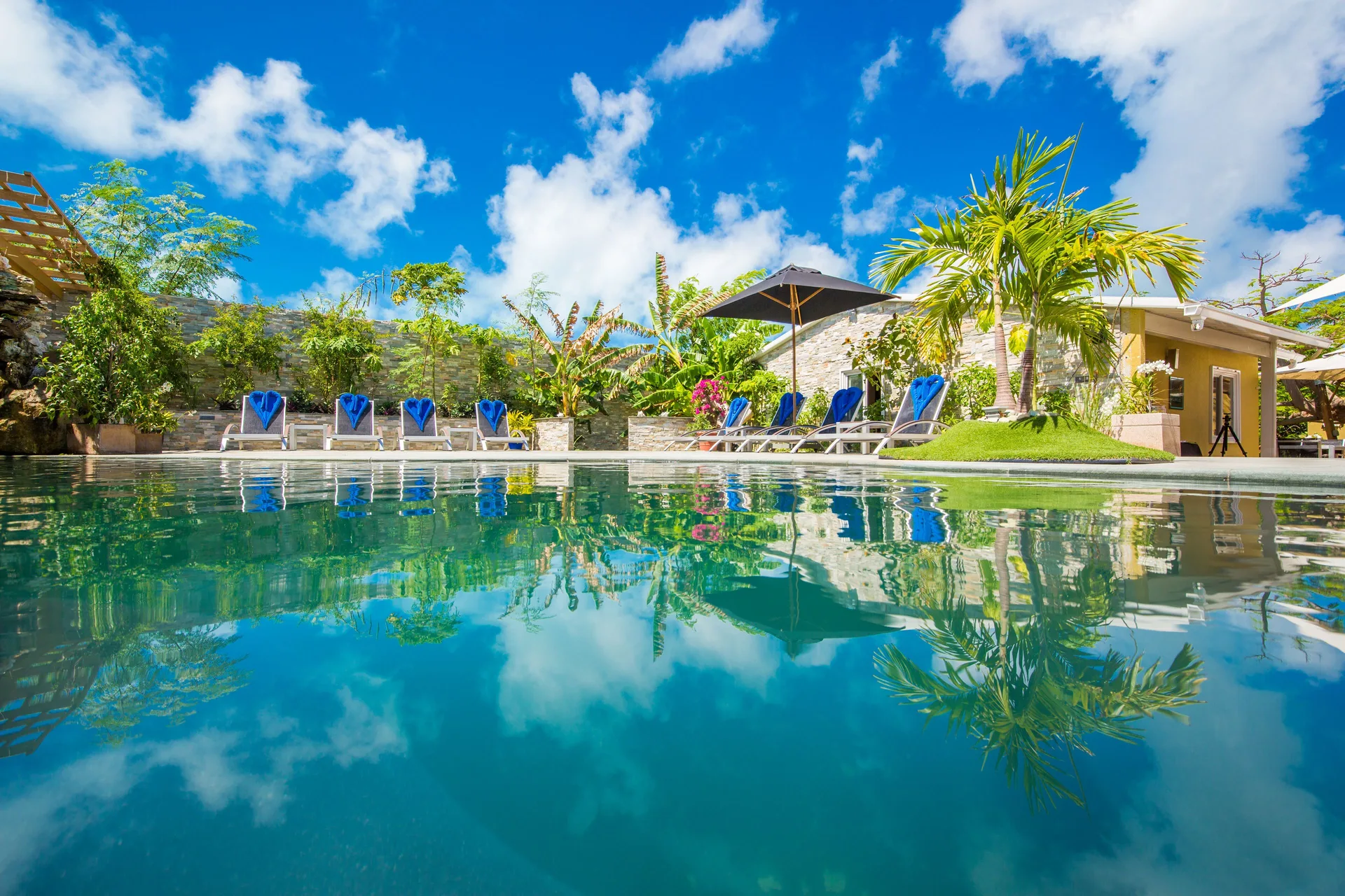 Pool with palm trees, loungers, and a small building at Kokomo Botanical Resort.