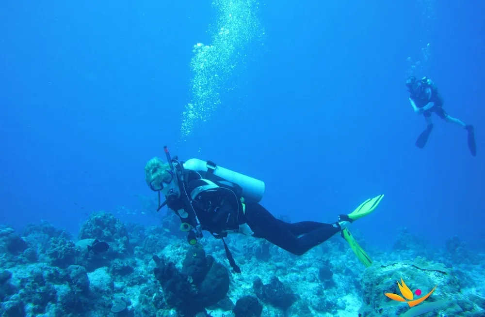 Scuba divers swim above coral in blue water near Kokomo Botanical Resort.