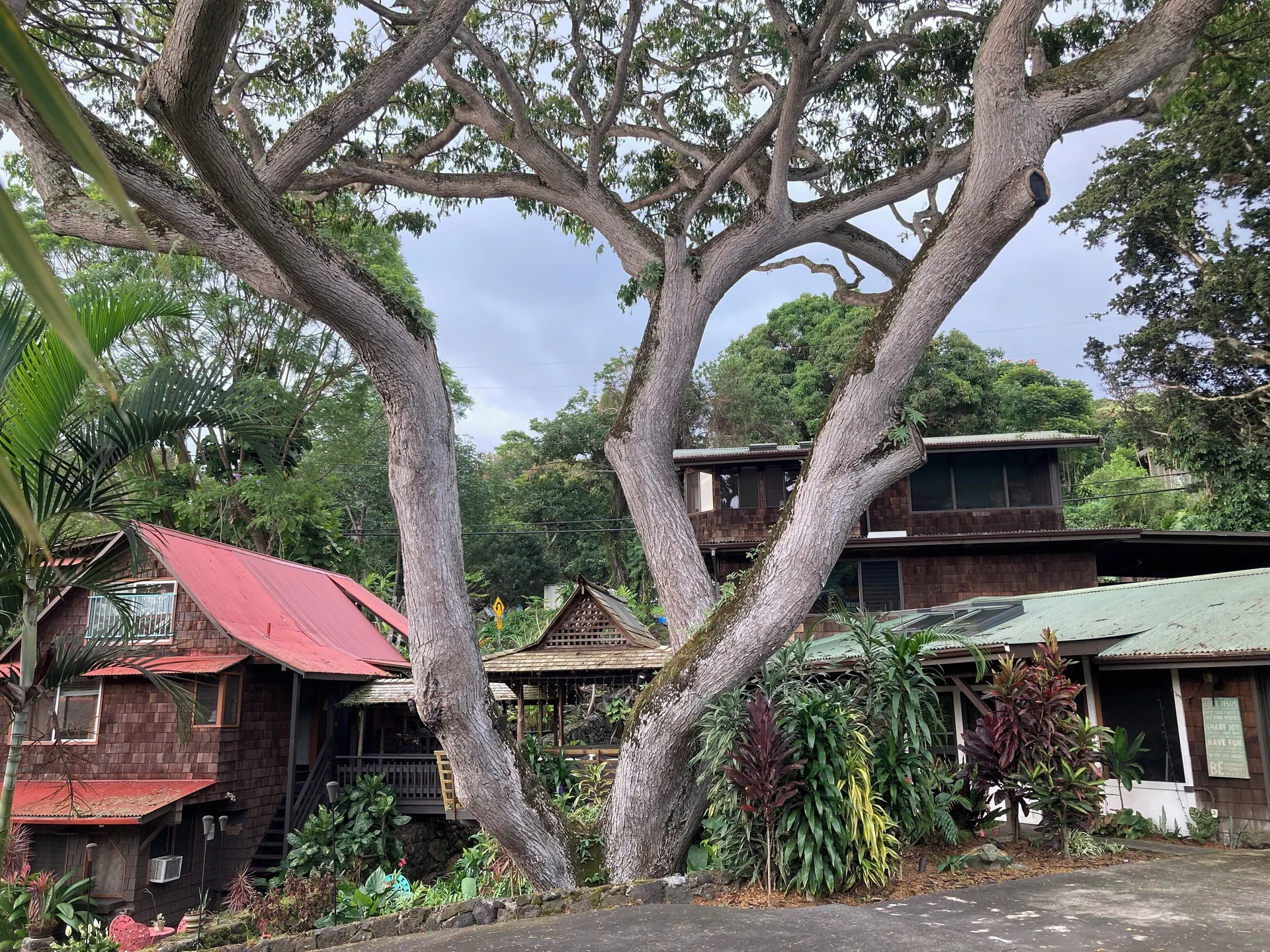 Hale Maluhia Country Inn quiet Kona bed and breakfast with garden surroundings