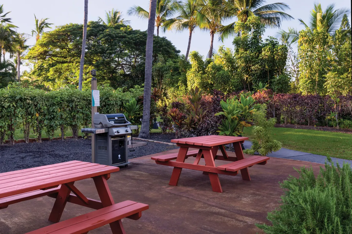 Red picnic tables and a gas grill sit in a garden barbecue area at Kona Coast Resort.