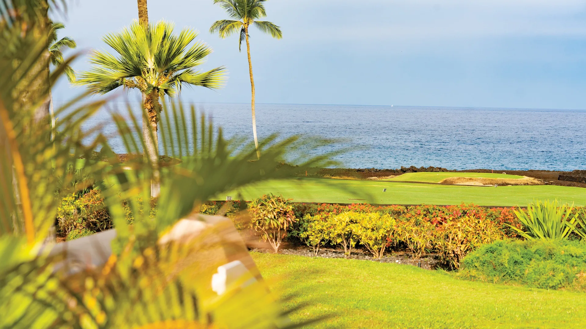 Ocean and golf green framed by palms and landscaping at Kona Coast Resort.