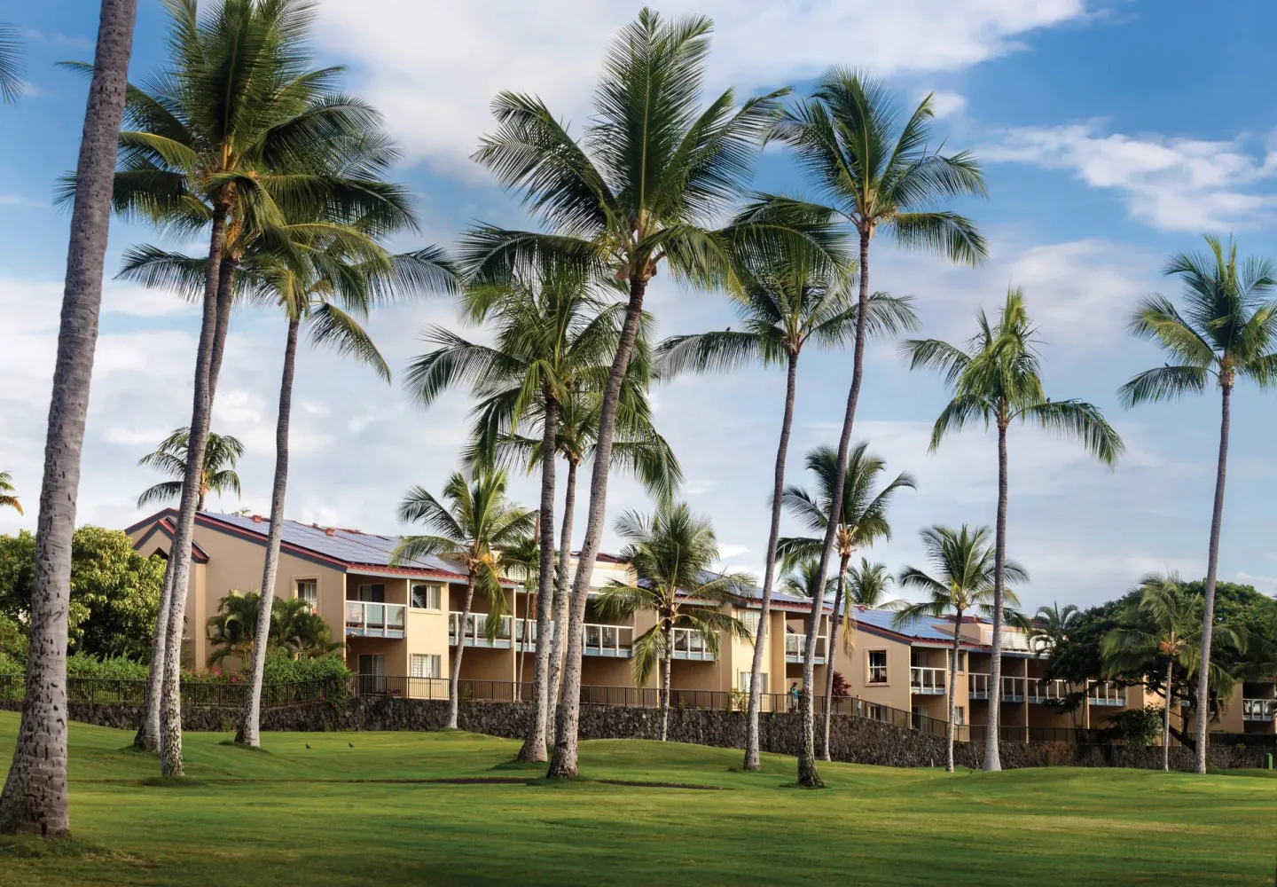 Palm-lined lawn with resort guest buildings in the background at Kona Coast Resort.