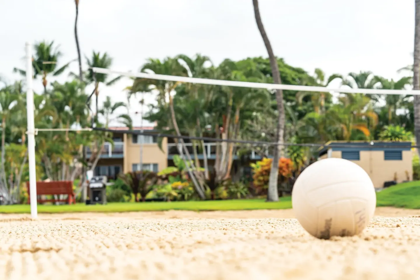 Volleyball on a sandy court with a net and tropical landscaping at Kona Coast Resort.