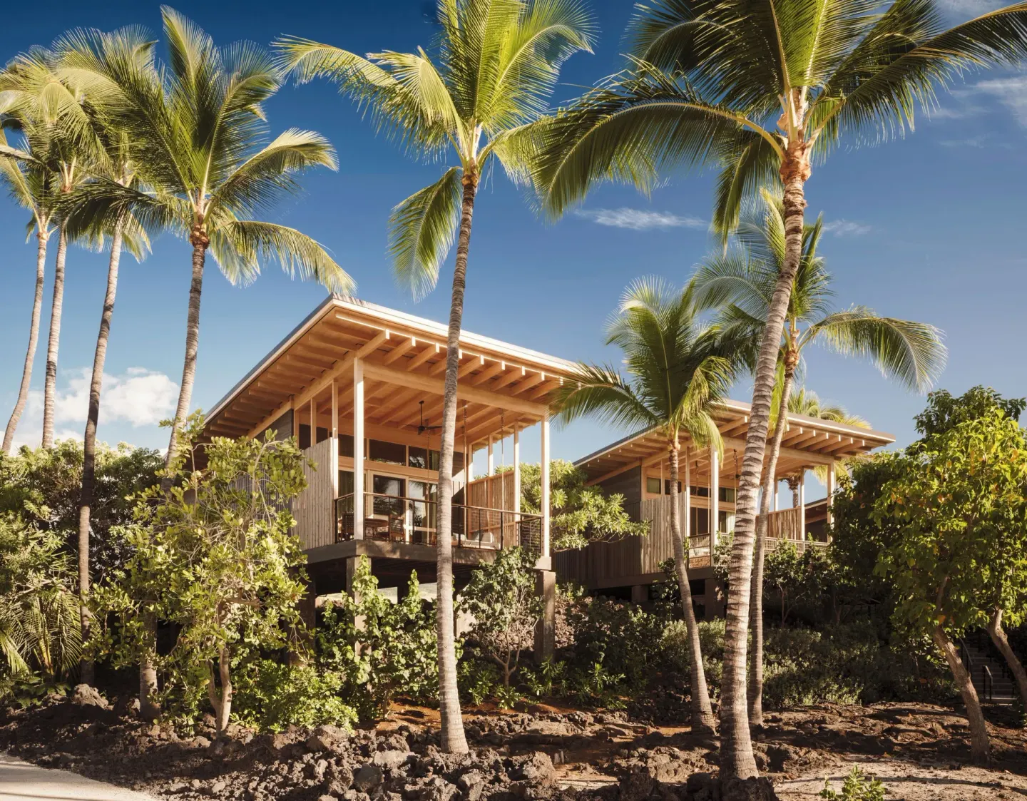 Tree Top Hale buildings at Kona Village elevated among palm trees and lava rock landscaping.